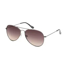Irus Brown Pilot Sunglasses For Men-image-2