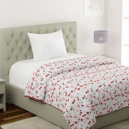 Klotthe Red & White Cotton Single Dohar-image-77