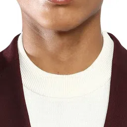 Tommy Hilfiger Deep Burgundy Cotton Regular Fit Blazer image 4