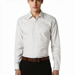 Van Heusen Beige Cotton Regular Fit Checks Shirt-picture-18