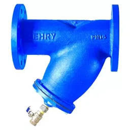 LEHRY VALVES 300 mm (12 inch) Cast Iron Flanged Y Type Strainer (F/E), LIV-STR-CI-FE-002A-picture-31