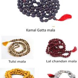 Divine souvenirs Unisex Set Of 5 Artificial Beaded Minimal Chains image 2