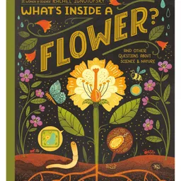 penguin random house What's Inside A Flower By Rachel Ignotofsky - English-picture-36