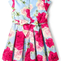 Babyoye Woven Sleeveless Party Dress With Floral Digital Print & Applique - Multi Colour image 2