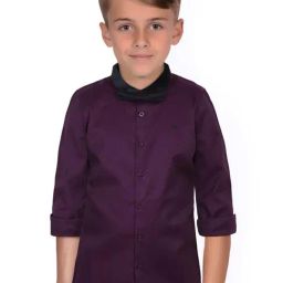 Allen Solly Junior Purple Slim Fit Full Sleeves Shirt-picture-48