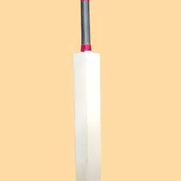 Elite Cricket Bats image 1
