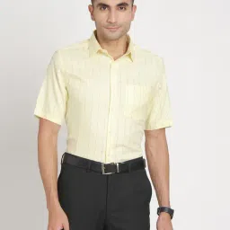 Turtle Lemon Yellow Cotton Regular Fit Stripes Shirt-picture-28