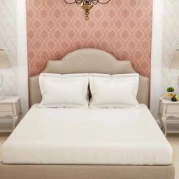 Spaces White Cotton 600 TC King Bed Sheet With Pillow Covers-picture-27