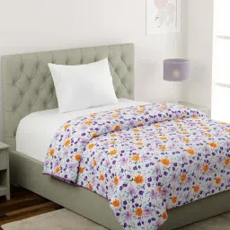 Klotthe Multicolor Cotton Single Dohar-picture-42
