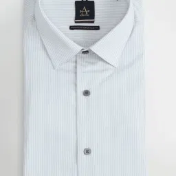 Arrow New York Light Grey Cotton Slim Fit Striped Shirt image 5