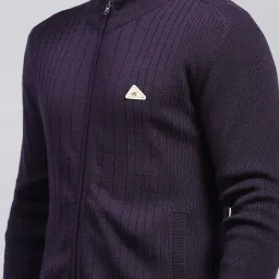 Monte Carlo Purple Regular Fit Texture Pullover image 5