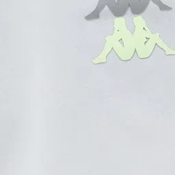 Kappa Grey Regular Fit Sports Shorts image 5