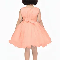 BAESD Net Fit & Flare Dress image 2