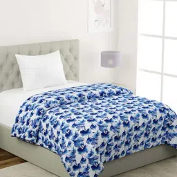 Klotthe Blue & White Cotton Single Dohar-picture-44