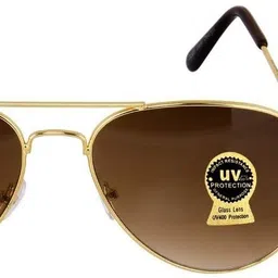 Unisex Adult Classic Wrap-Around Polarized Sunglasses with UV Protection image 4