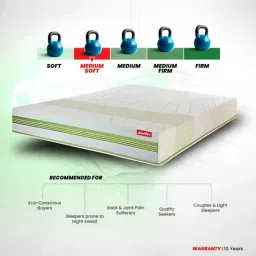 Duroflex Green Prana Organic Cotton Fabric 8 Inch Queen Size Spring Mattress image 4