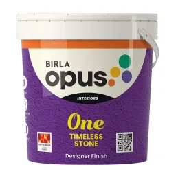 Birla Opus One Timeless Stone 1 Kg White Designer Finish for Interior Walls, 940101 (Pack of 1 Kg)-picture-36