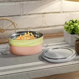 Living Scapes by Pantaloons Coral Stainless Steel Storage Container (0.5 L)-picture-12