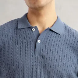 Thomas Scott Blue Cotton Regular Fit Texture Polo T-Shirt image 5