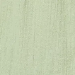 Fame Forever by Lifestyle Kids Olive Regular Fit Shirt image 5