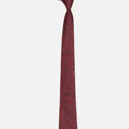 Van Heusen Maroon Embroidered Tie image 2