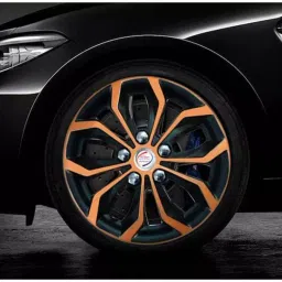 Auto Pearl R12 Press Type With Retention Ring PTA65 Wheel Cover for Universal for Car Universal for Car 36.4 cm-picture-35