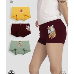 TRESNOVA Cotton Elastane Knit Pack Of 3 Unicorn & Fox Printed Anti Microbial Boy Shorts - Burgundy Yellow & Green-picture-11