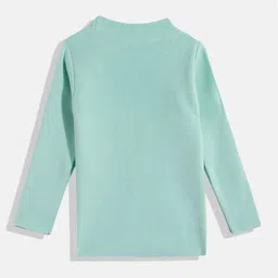 RVK Full Sleeves Solid Skivvy Sweater - Sea Green image 3