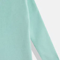RVK Full Sleeves Solid Skivvy Sweater - Sea Green image 5