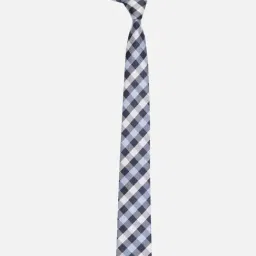 Van Heusen Blue Checked Tie image 2