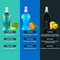 Dorall Collection Fluid Intense, Thunder Blue & Lion Heart Body Mist - Pack of 3 image 5