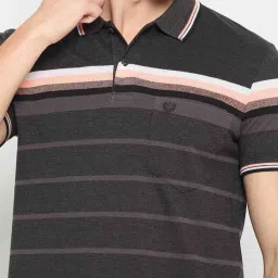 Duke Black Regular Fit Striped Polo T-Shirt image 5