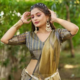 all about you Zari Woven Design Border Tissue Saree image 5