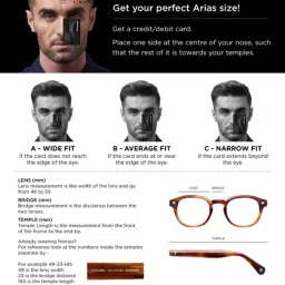 Shisen Fox Black Aviator Unisex Eye Frames image 5