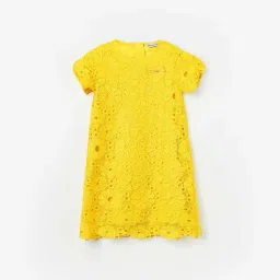Fame Forever by Lifestyle Kids Yellow Embroidery Regular Fit Dress-picture-29