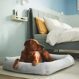 ikea utsådd Dog bed, light grey, L image 2