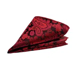 voici Paisley Design Cravats & Pocket Square Combo image 4