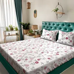 KLOTTHE Cream-Colored Printed 300 TC Double Bedsheet With 2 Pillow Covers - 2.50 x 2.25 m-image-55