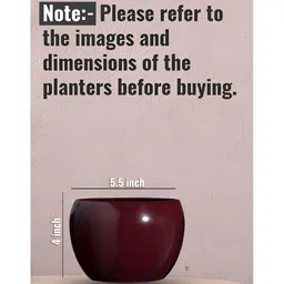 Homspurts Brown Planters image 2