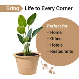 Myntra Elegant Homes Brown Textured Marble Unbreakable UV Protected Planter image 2