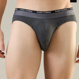 Park Avenue Men Pack Of 2 Mid-Rise Basic Briefs PZRX00280-X287F070-picture-37