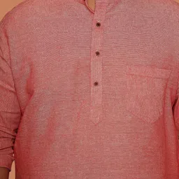 Enchanted Drapes Plus Size Band Collar Pure Cotton Kurta image 2