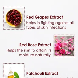 NutriGlow Wine Facial Kit 250g + 10ml & Sun Screen Fairness Lotion SPF 40 120ml image 2