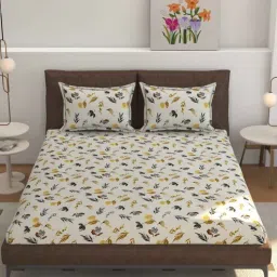 Beige Geomatric Glace Cotton Queen Flat Bed Sheets with 2 Pillow Covers (240 tc)-image-64