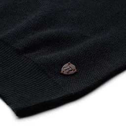 Raymond Men Solid Pullover image 5