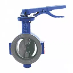 Leader 3 inch, 80 mm Ductile Iron Butterfly Valve, DI 091-image-90