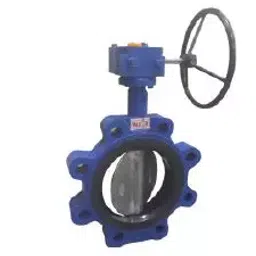 Valson 18 Inch, 450 mm Cast Iron Gear Operated Butterfly Valve-picture-46