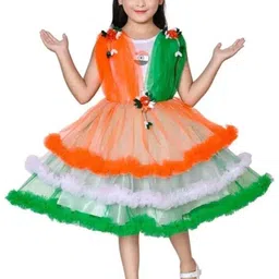sms dressses Ruffled Net Fit & Flare Dress-image-0