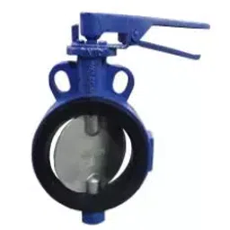 Valson 2 Inch, 50 mm Cast Iron Lever Operated Butterfly Valve-picture-12