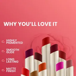 Seven Seas Color Edition Day Long Waterproof Matte Lip Color - Chestnut Rose 2 - 305 image 4